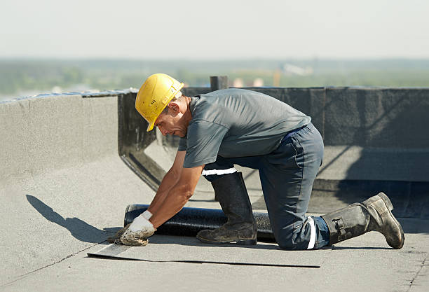 Best Insulation Maintenance and Repair in Jasper, TN