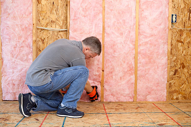 Best Specialized Insulation Services in Jasper, TN